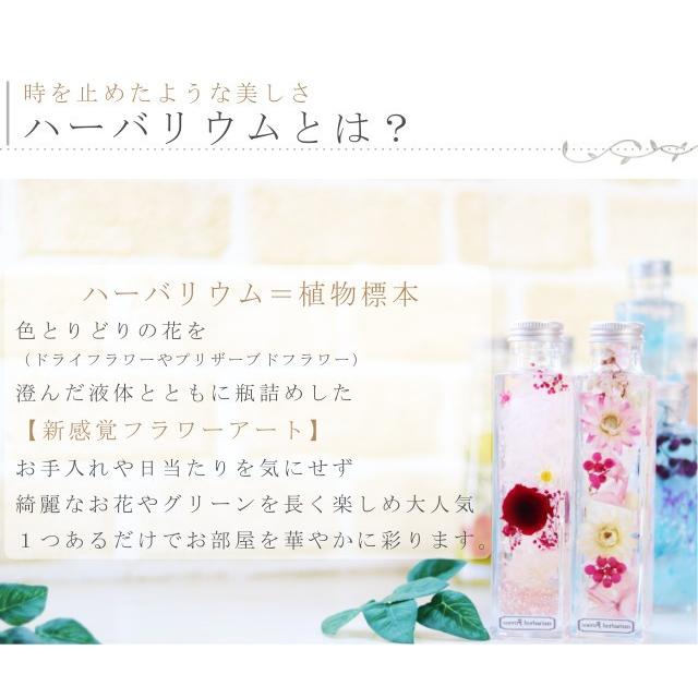 母の日 プレゼント 花 ギフト 21 アジサイ 手作り 40代 祖母 手作り 人気 インテリア オイル ボトル プリザーブドフラワー 贈り物 誕生日 円柱m Achb 003 M Ad Ciel 通販 Yahoo ショッピング