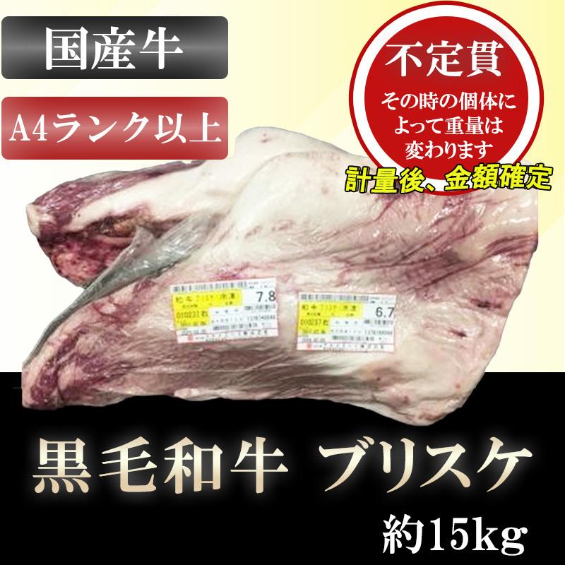大人気  【burisuke-332-no15】 限定デザイン