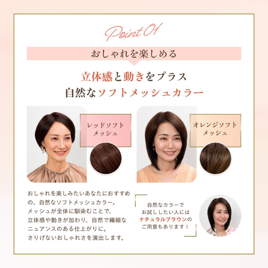 アデランス 部分ウィッグ ふわカラ メッシュ おしゃれ 人毛ミックス