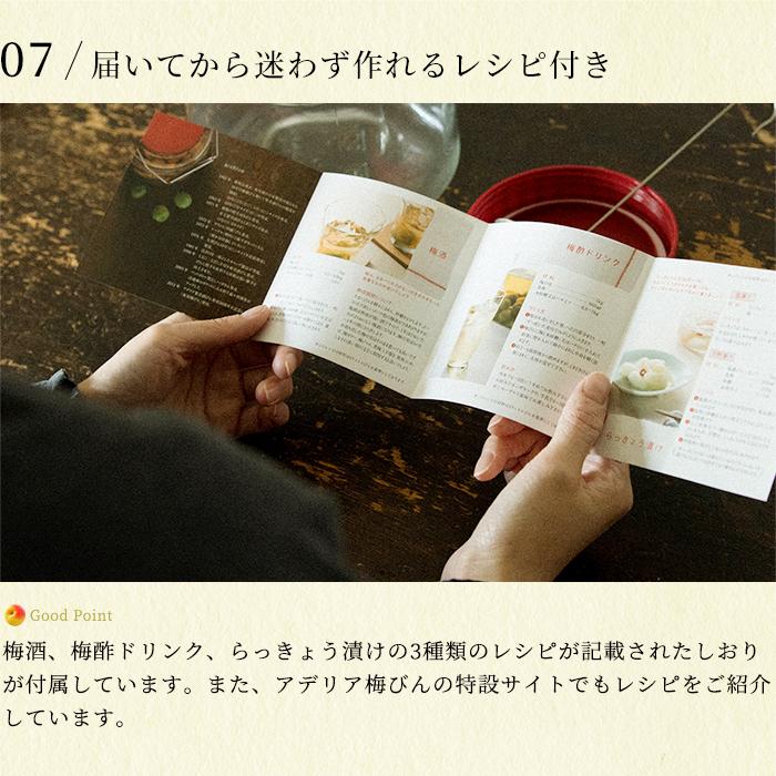 保存容器 ガラス ガラス容器 キャニスター おしゃれ 【 アデリア 復刻梅びん 3L レードル付 日本製 】 保存瓶 保存びん 梅びん 果実酒 | ADERIA | 10