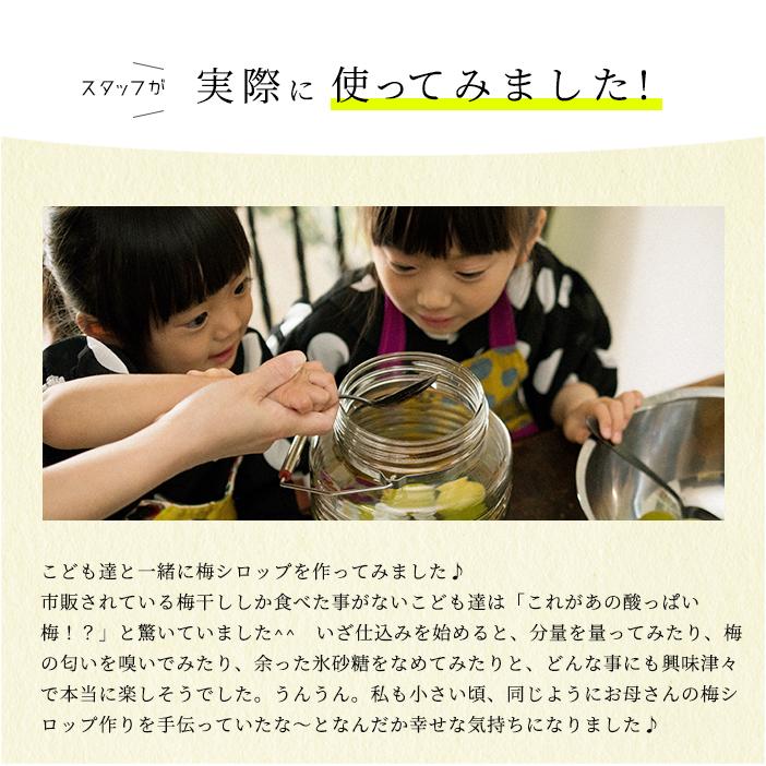 保存容器 ガラス ガラス容器 キャニスター おしゃれ 【 アデリア 復刻梅びん 3L レードル付 日本製 】 保存瓶 保存びん 梅びん 果実酒 | ADERIA | 15