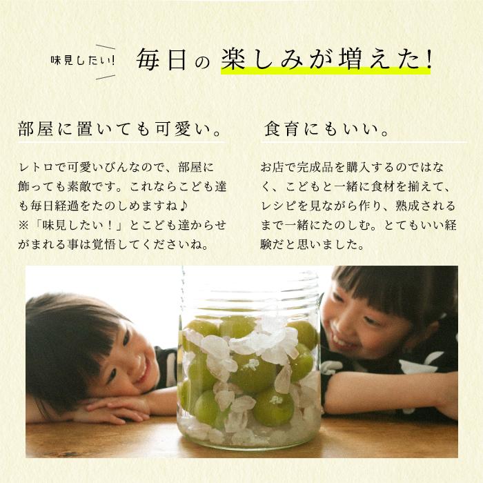 保存容器 ガラス ガラス容器 キャニスター おしゃれ 【 アデリア 復刻梅びん 3L レードル付 日本製 】 保存瓶 保存びん 梅びん 果実酒 | ADERIA | 16