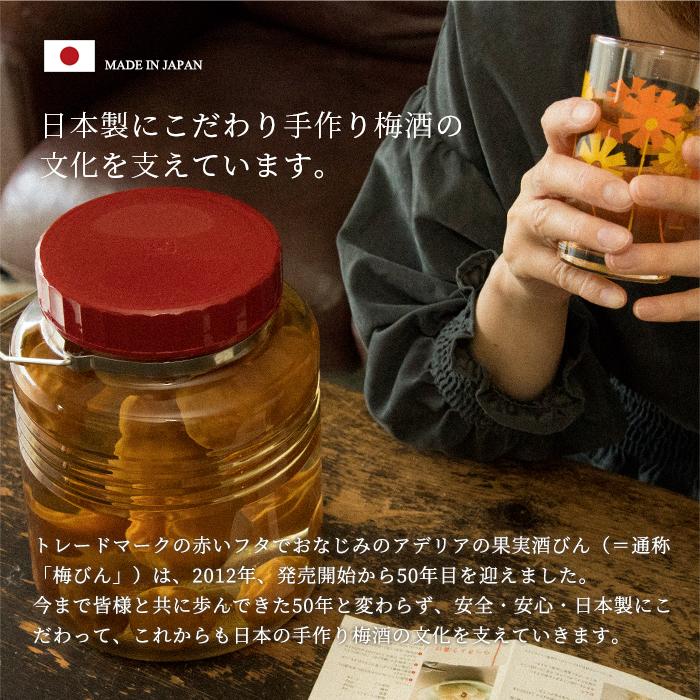 保存容器 ガラス ガラス容器 キャニスター おしゃれ 【 アデリア 復刻梅びん 3L レードル付 日本製 】 保存瓶 保存びん 梅びん 果実酒 | ADERIA | 02