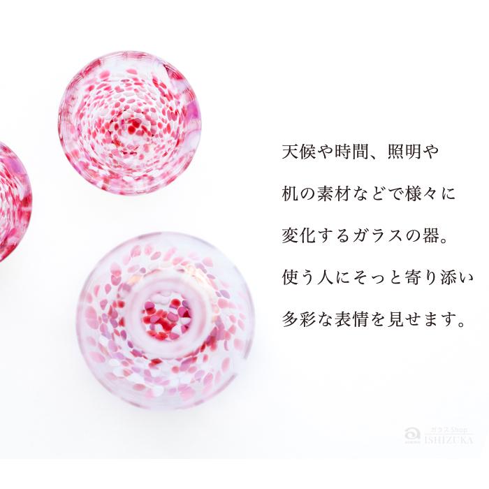 津軽びいどろ 酒器 セット 桜吹雪 アデリア 日本製 化粧箱入
