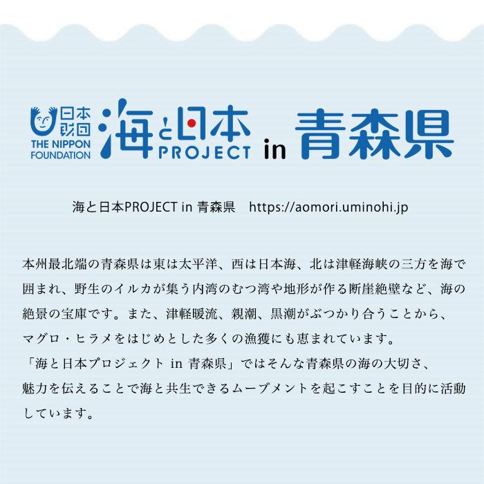 津軽びいどろ 盃 あおもりの海 盃セット 日本製 化粧箱入 | おしゃれ