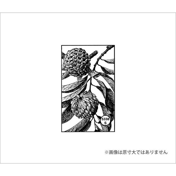 100 Proof Press #5338 アーティチョーク Artichoke Rectangle スタンプ |  | 02