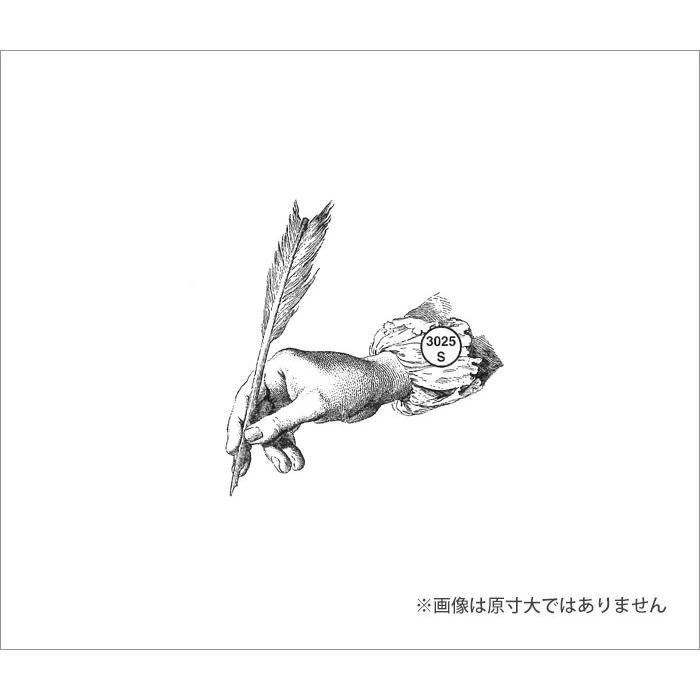 羽ペン 100 Proof Press #3025 Hand Writing WithFeather Quill スタンプ アンティーク |  | 02