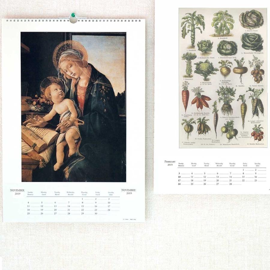 2026年 カレンダー ARCHITETTURA CG2601 イタリア製 直輸入 壁掛け 大判 おしゃれ ISTITUTO FOTOCROMO ITALIANO / I.F.I カレンダー 35×50 建築 世界遺産 |  | 06