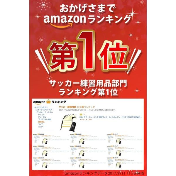 ラダー トレーニング 子供 大人 野球 サッカー 9m 21枚 収納袋付き 3カラー Licli 鶴西オンラインショップ 通販 Paypayモール