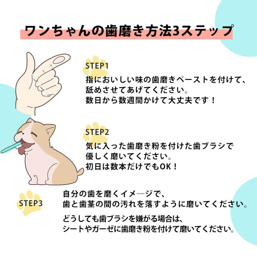 PAL&I 口腔ケア 歯磨き ペースト 30g チキン 味 犬 猫 用 Amazon | PETLINKMORE 犬猫用 口腔ケアサプリ 歯磨き 歯磨き粉