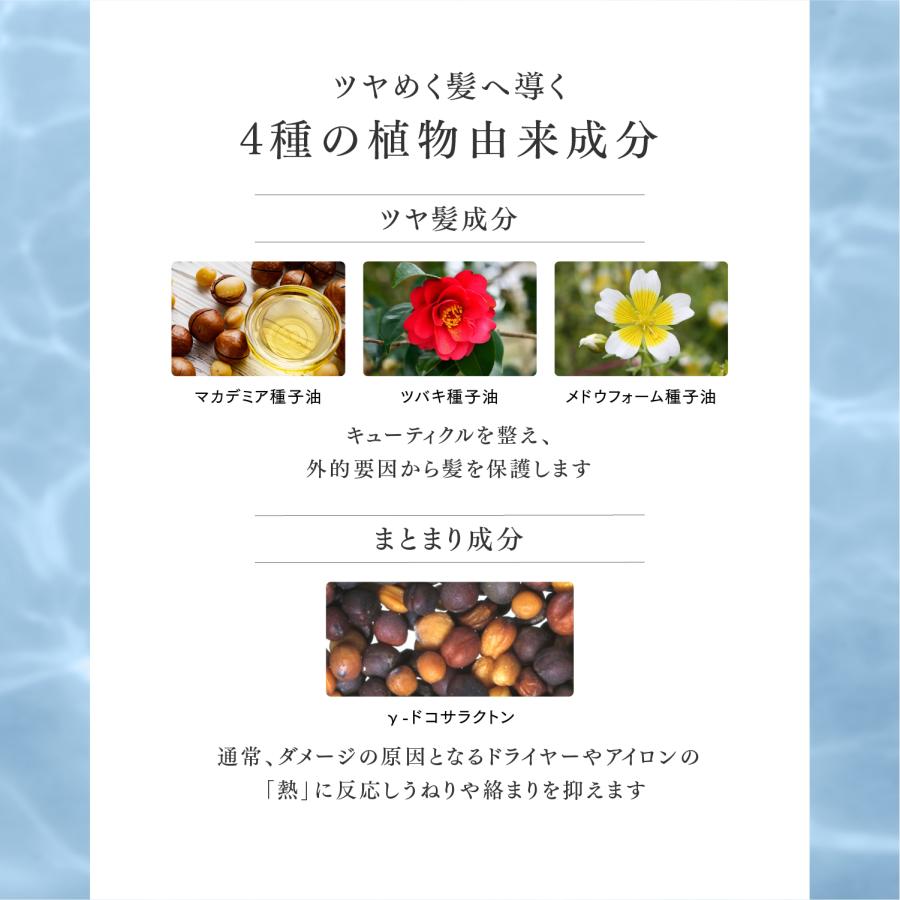 Q+ ( クオリタス ) シャンプー ＆ トリートメント ＆ ヘアオイル 各400ml ＆ 80ml |  | 12