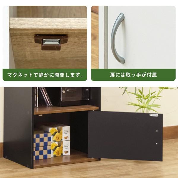 扉付き 2段ラック 下段扉付き カラーボックス 収納ラック 黒系