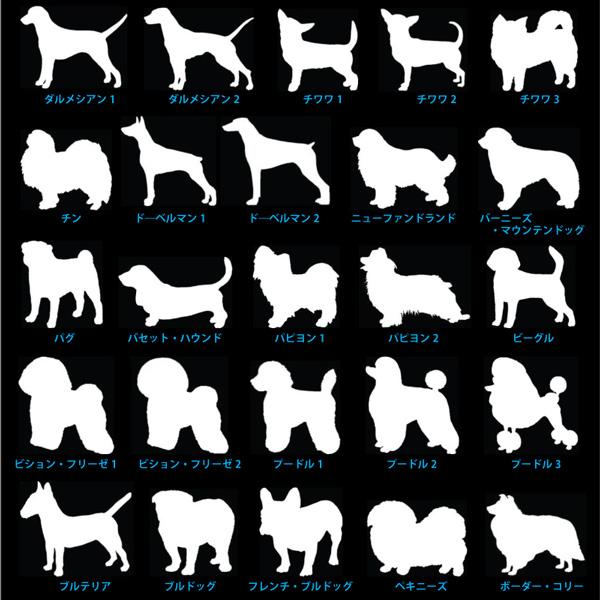 ボーンMサイズ  ステンレス迷子札  両面刻印 イラスト入り/ 骨型 ブラック 鏡面 ステンレススチール  (メール便送料無料) メタザ |  | 05