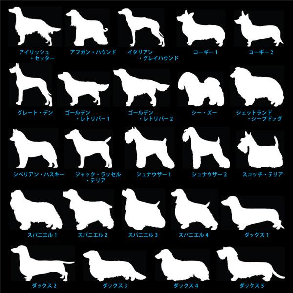 ボーンMサイズ ステンレス迷子札  片面刻印 イラスト入り/ ブラック  骨型　鏡面 ステンレススチール  (メール便送料無料) メタザ |  | 04