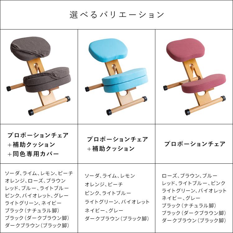 宮武製作所 専用カバー付きプロポーションチェアキッズ クッション付き
