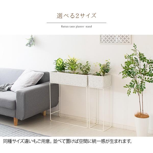 ラタンプランタースタンド Grand（グラン）幅60cm ラタン調 観葉植物 ホワイト ダークブラウン 観葉植物 花台 植木鉢スタンド 鉢植え フラワースタンド | 宮武製作所 | 12