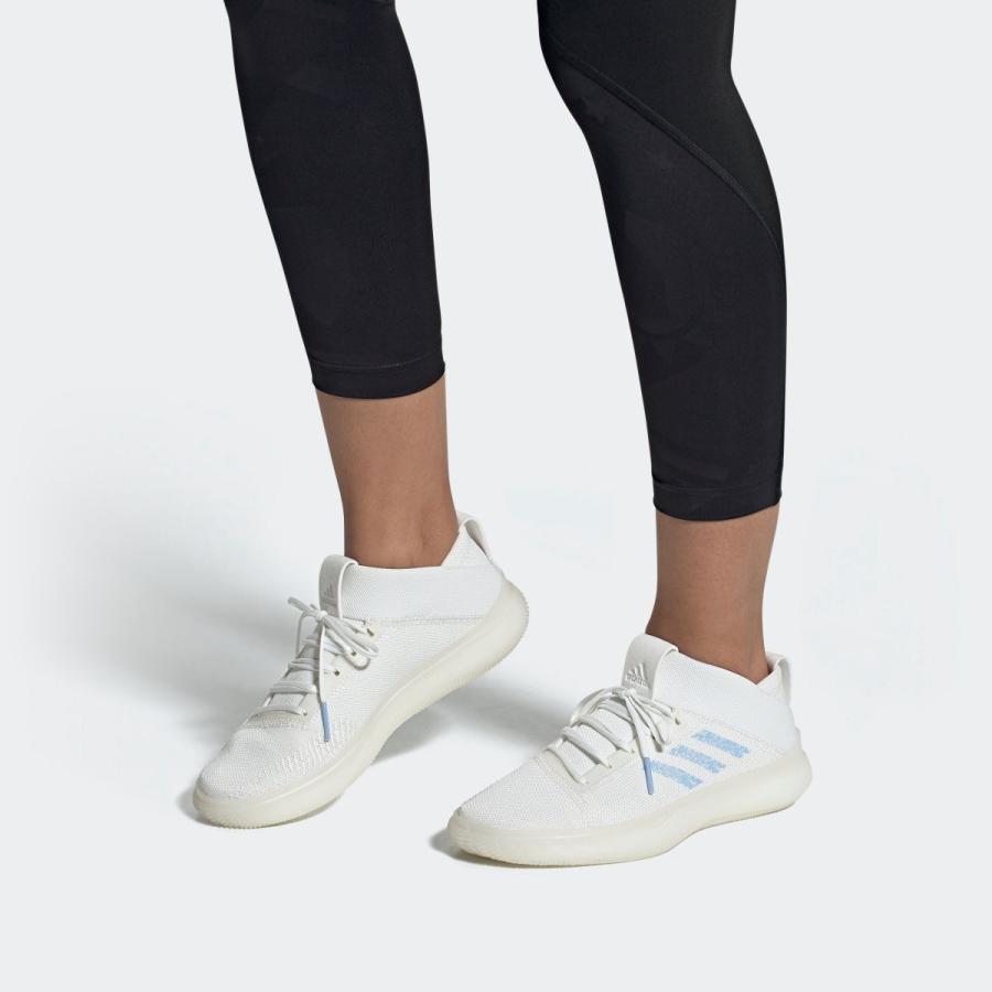 pureboost trainer w