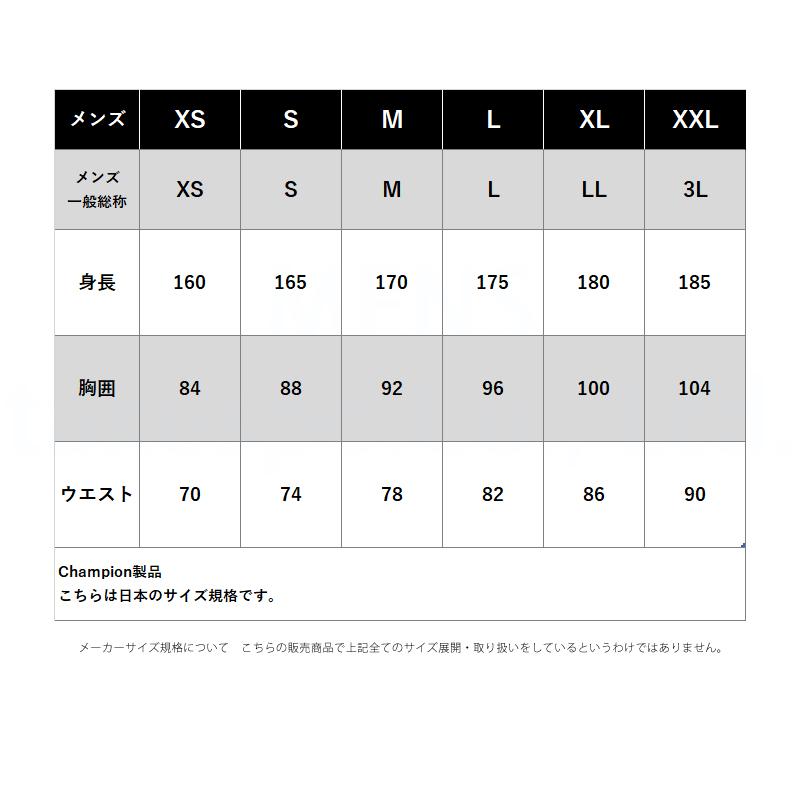 チャンピオン スウェット 上下 メンズ セットアップ ブランド Champion テックウィーブ C3DS101 送料無料 新作 裏毛の画像