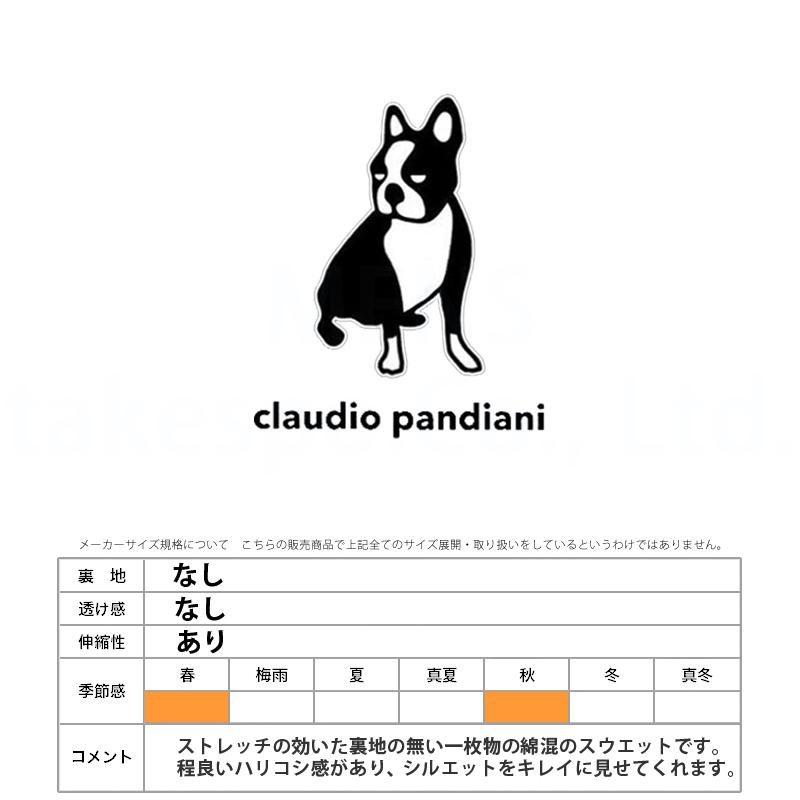 クラウディオ パンディアーニ スウェット メンズ 上下 Claudio Pandiani パーカー パンツ フルジップ トレーニングウェア CP23D21 送料無料 メンズ クラウディオ パンディアーニ スウェット トレーニングウェア セットアップ 運動着 部活 ルームウェア 上下セット