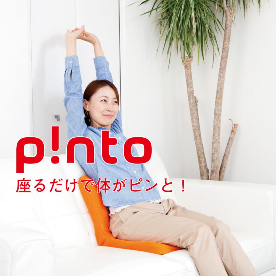 送料無料 ピント P Nt 姿勢矯正 クッション 椅子 姿勢改善 プレゼント 敬老 背筋 座布団 Ajpinto Ad Japan 通販 Yahoo ショッピング