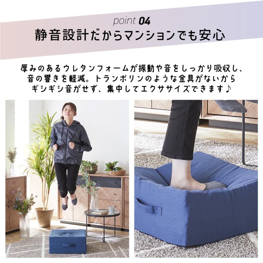 SAKODA 家具屋が創った トランポリン クッション クッション