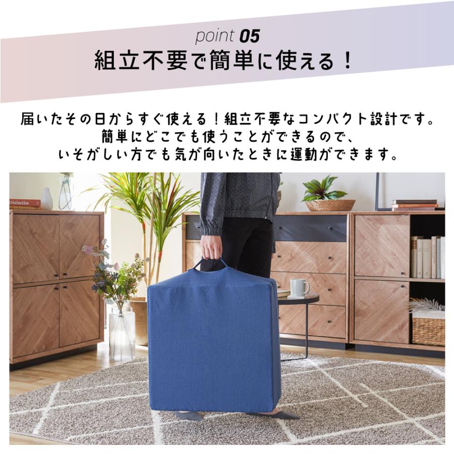 SAKODA 家具屋が創った トランポリン クッション クッション