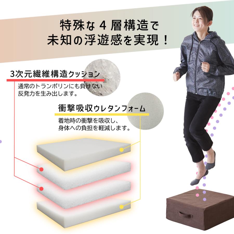 SAKODA 家具屋が創った トランポリン クッション クッション