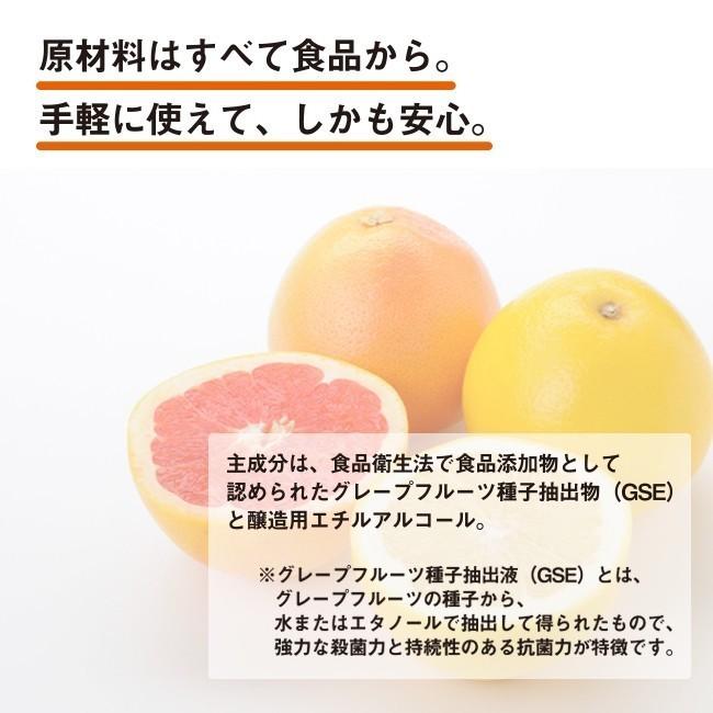 即納 強力除菌 デイリーミスト 携帯用 50ml 抗菌 弱酸性 ウイルス対策 インフルエンザ対策 感染症予防 エコ  キッズルーム キッズスペース フリーマム DailyMist｜adoshop｜04