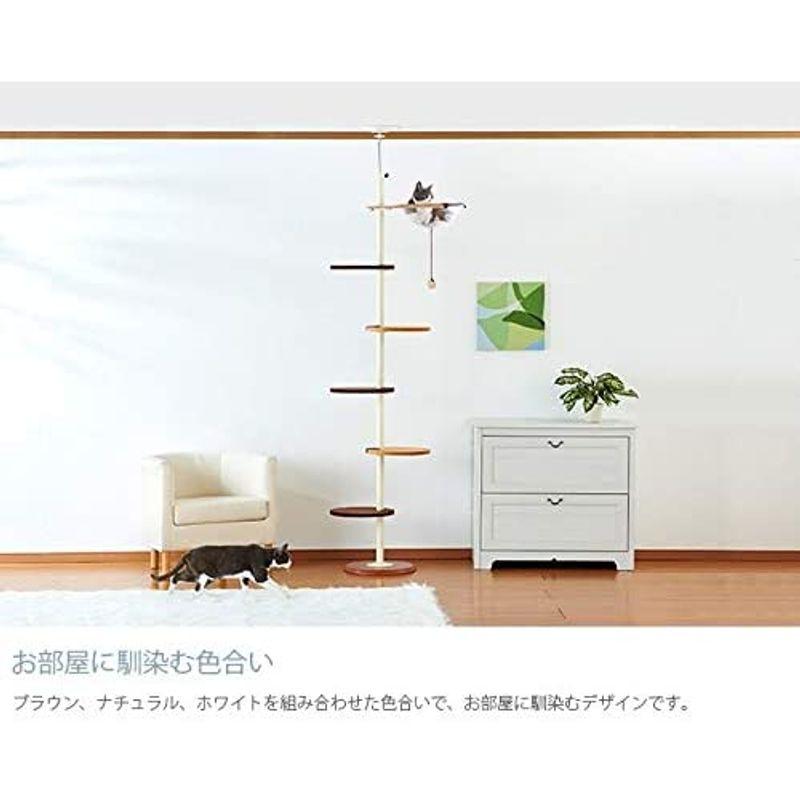 ボンビアルコン (Bonbi) キャットポールクリアハンガー P1953823738(17177円)