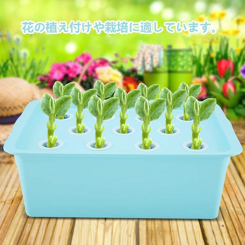 NITRIP 水耕栽培キット 10L 11穴水耕栽培システム 屋内栽培 水耕培養(110V-青) L1609698539(14152円)