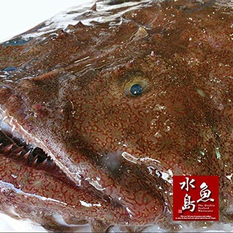 魚水島 新潟・佐渡産 天然 あんこう アンコウ 一匹丸もの 7kg以上 あんこう 魚水島 天然 7kg以上 アンコウ 新潟・佐渡産 一匹丸もの FKP1614927815(14200円)
