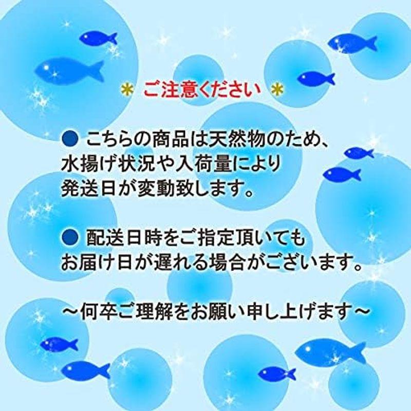 魚水島 新潟・佐渡産 天然 あんこう アンコウ 一匹丸もの 7kg以上 あんこう 魚水島 天然 7kg以上 アンコウ 新潟・佐渡産 一匹丸もの FKP1614927815(14200円)