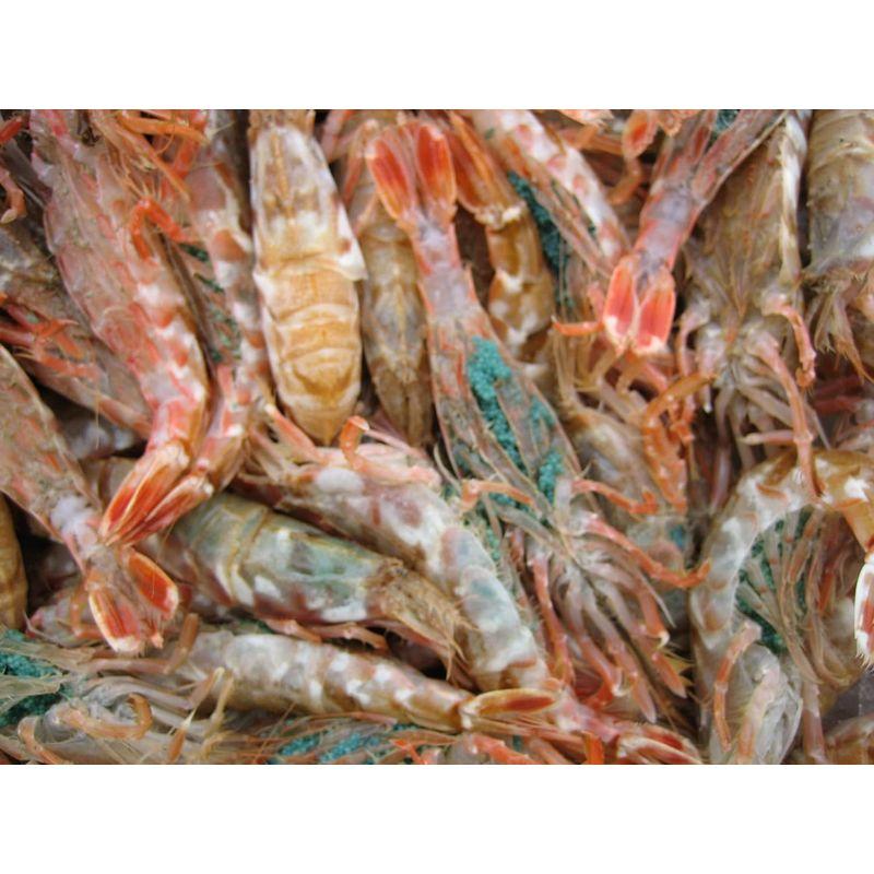 お刺身用 泥海老（モサエビ）3Kg 山陰境港産 泥海老 モサエビ 3Kg 山陰境港産