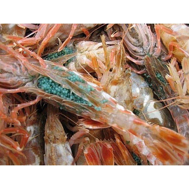 お刺身用 泥海老（モサエビ）3Kg 山陰境港産 泥海老 モサエビ 3Kg 山陰境港産