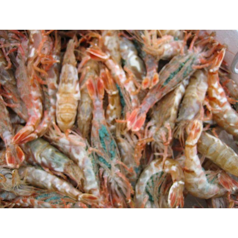 お刺身用 泥海老（モサエビ）3Kg 山陰境港産 泥海老 モサエビ 3Kg 山陰境港産