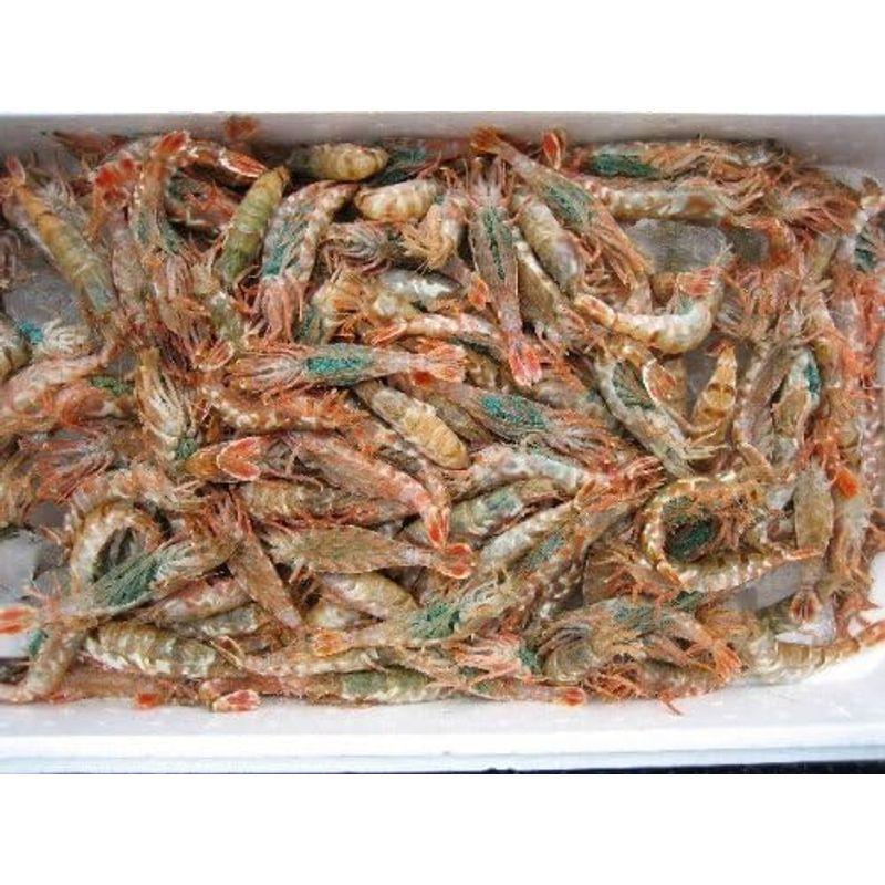お刺身用 泥海老（モサエビ）3Kg 山陰境港産 泥海老 モサエビ 3Kg 山陰境港産