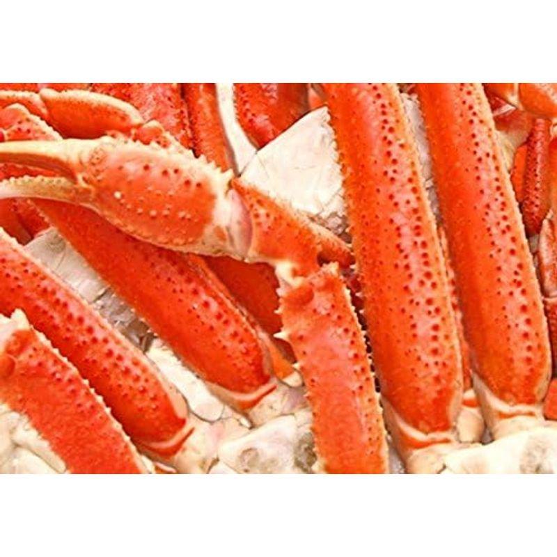 身詰り良好 ボイルズワイガニ３Ｌ２ｋｇ 身入りが８?９分の優良商品 ボイルズワイガニ３Ｌ２ｋｇ 身入りが８ ９分の優良商品
