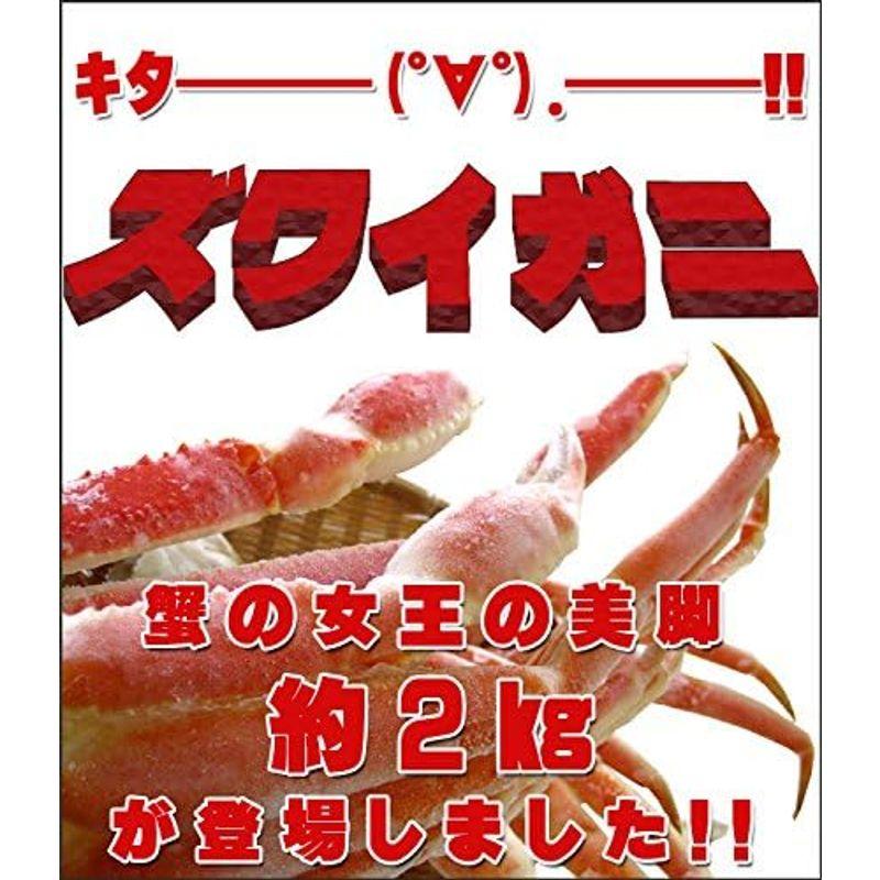 ズワイガニ肩脚 2kg (かにの女王ずわい蟹) 食べ放題やバーベキューに最適(別名松葉がに) 2kg かにの女王ずわい蟹 食べ放題やバーベキューに最適 別名松葉がに