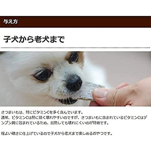 テヅカヤマハウンドカム 犬用 無添加おやつ 干し芋スティック 100g 国産 さつまいも 5袋
