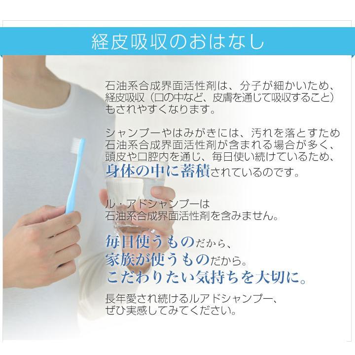 大感謝 本格派 濃厚アミノ酸シャンプー ルアドシャンプー 500ml Ls0003 酵素洗顔 天然保湿のルアド自然派 通販 Yahoo ショッピング