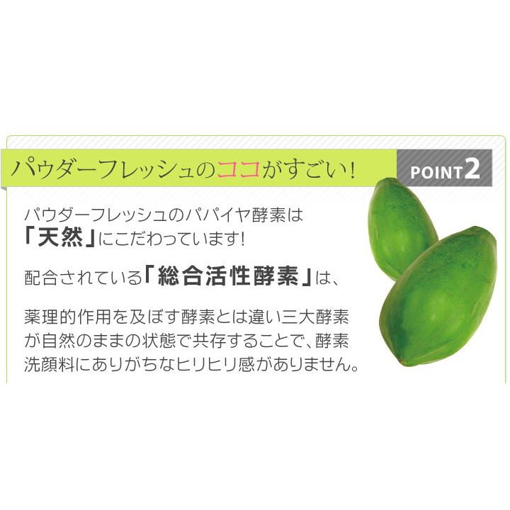 洗顔 泡立て不要 洗顔料 ルアド パウダーフレッシュ 67g×3袋入 大容量