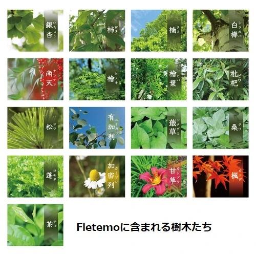 天然成分 Fletemo フレテモ 森から生まれたフィトンチッドの除菌スプレー 消臭スプレー ウイルス除去 リラックス効果 エコ SDGs エシカル |  | 07