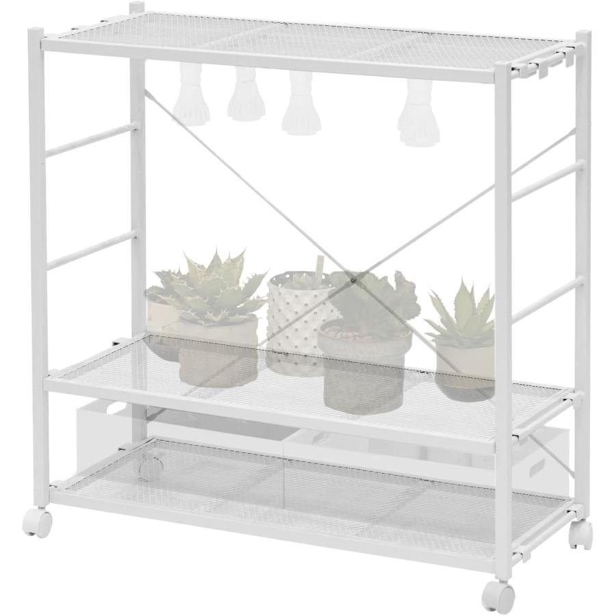 ビビラボ ビザールプランツラック LPR-800-WH ホワイト BIBILAB アガベ