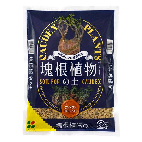 花ごころ 塊根植物の土2L コーデックス パキポディウム グラキリス