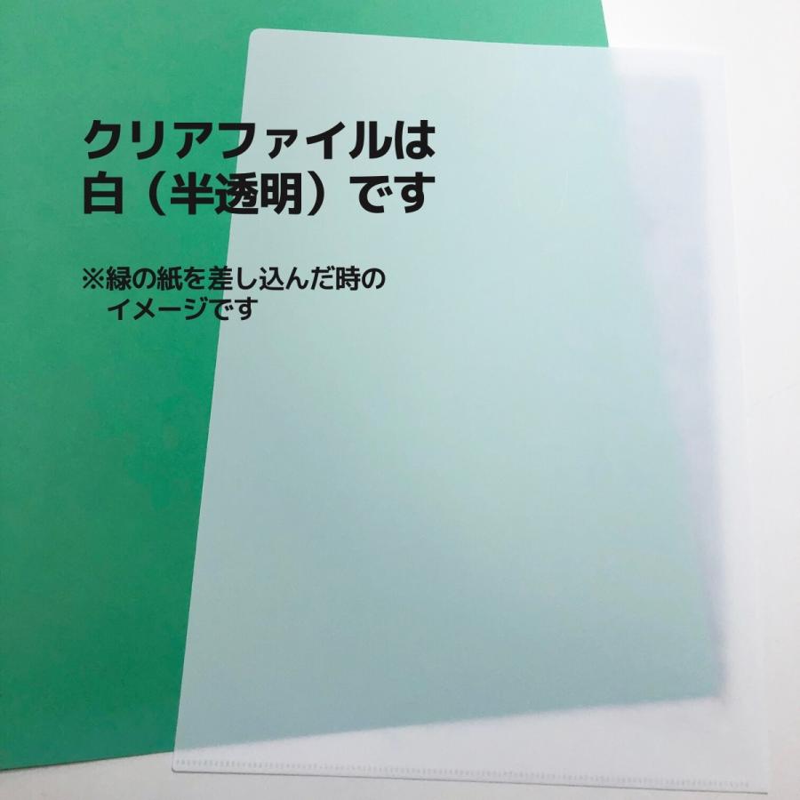 クリアファイル 2枚セット A4 A5 クリアフォルダー オリジナル作成 スマホ写真もOK メール便配送可 |  | 05