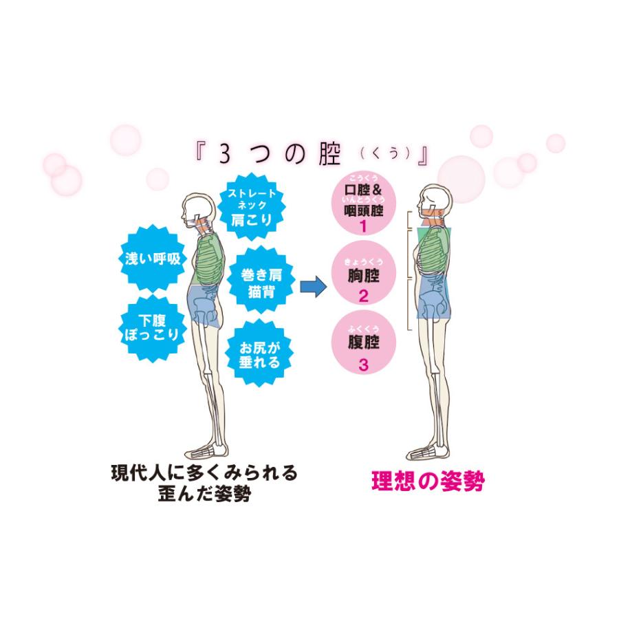 インソール 姿勢矯正 ※変色のためSALE!! 美脚改善 中敷き 立ち仕事 疲れ 驚きの美姿勢 レディース ゆがみ 歪み改善 パンプス/サンダル用 さとう式 |  | 05