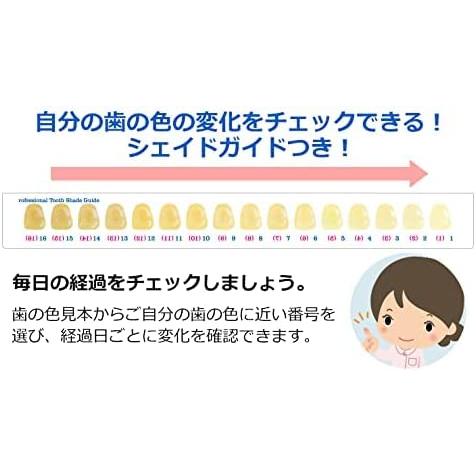 ホワイトニング 歯 オーラルケア ブライトスティック 自宅 歯を白く 白くする 黄ばみ セルフ ヤニ 着色汚れ 白い歯 ペン キット 自宅 ホームホワイトニング BS |  | 08