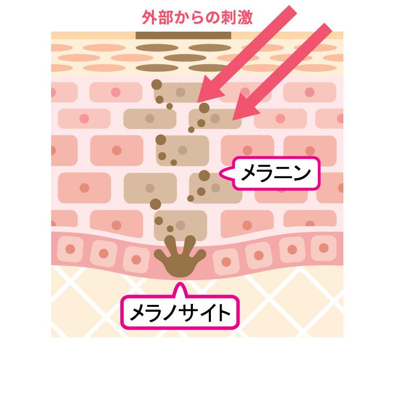 デリケートゾーンケア 医薬部外品 黒ずみ 薬用 美白クリーム 保湿 黒ずみ フェミニンホワイト  ホワイトニングクリーム 日本製 |  | 05