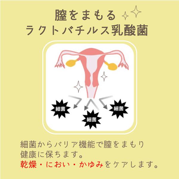 デリケートゾーン 膣うるおいジェル 保湿ジェル ケア 女性用 フェムテック ゼリー 保湿ジェル 粘膜 更年期 ケアジェル ジェル ラクトバチルス菌 膣 オンプ 6本 |  | 05