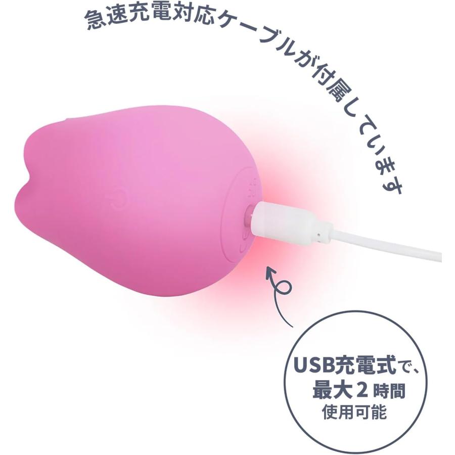 GOSTAR PRO 美顔器 ピンク USB充電式 GOSTAR PRO 美顔器 ピンク USB充電式